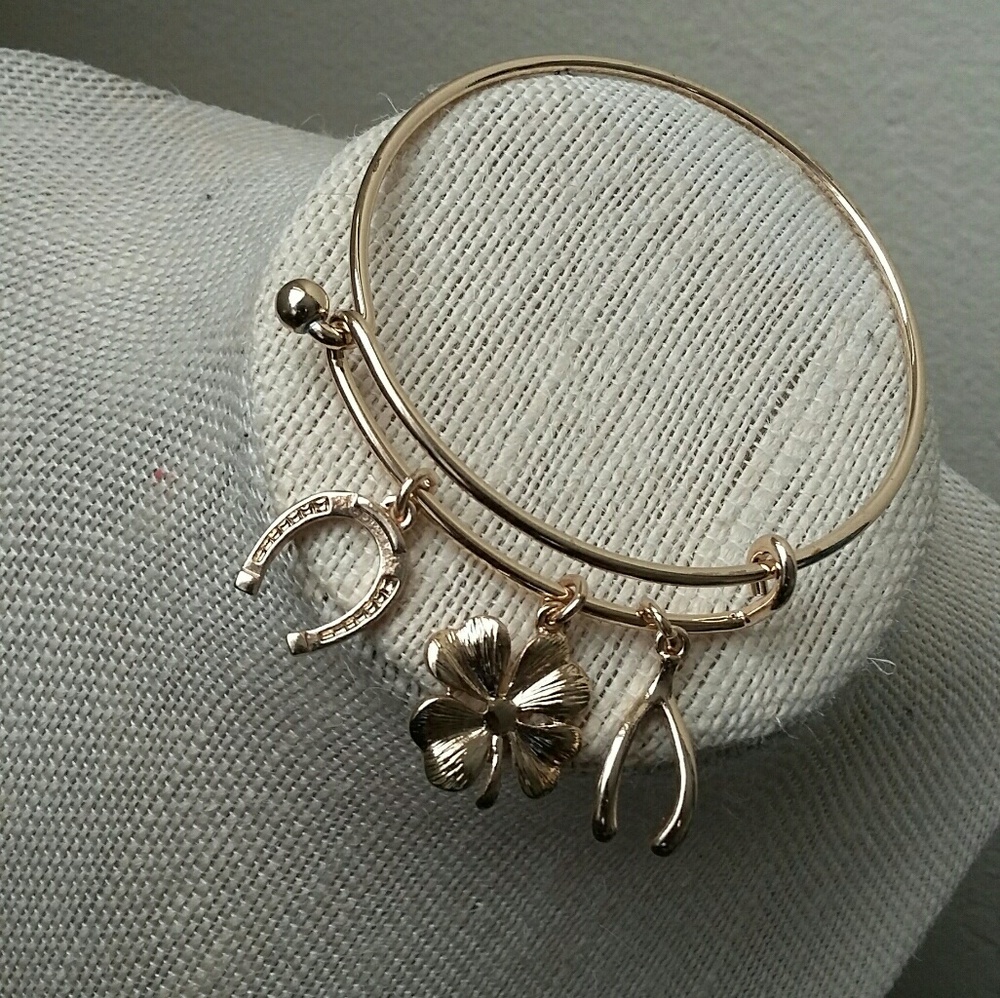 Accessorie - Picture 4 of 4
